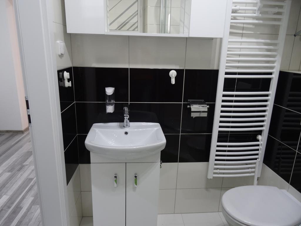Skorkovskeho Business Apartment Brno Room photo
