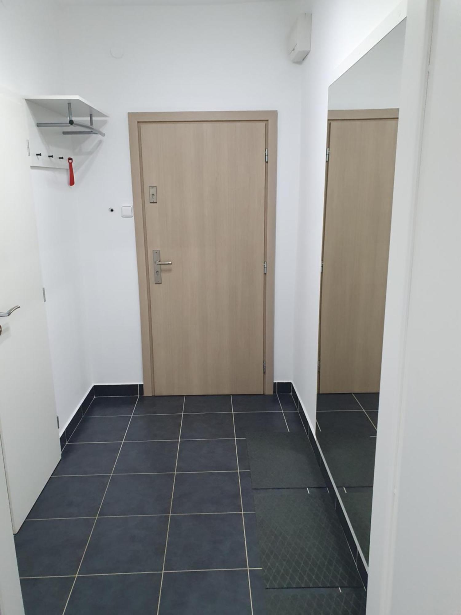 Skorkovskeho Business Apartment Brno Exterior photo